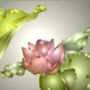 Meet your Posher, Molly